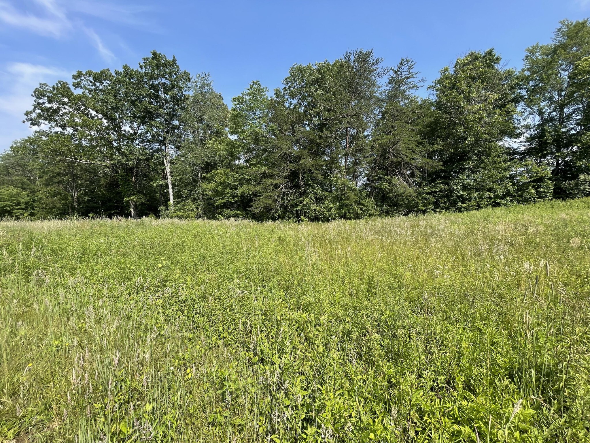 4750 Thomas And Smith Road Property Photo 15