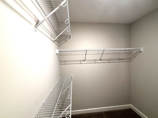 3358 Curie Circle Property Photo 9