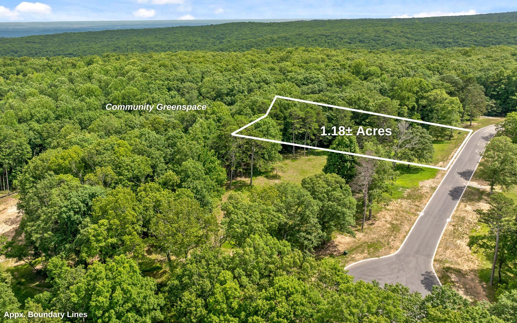 1820 Sawyer Farms Lane Property Photo 7