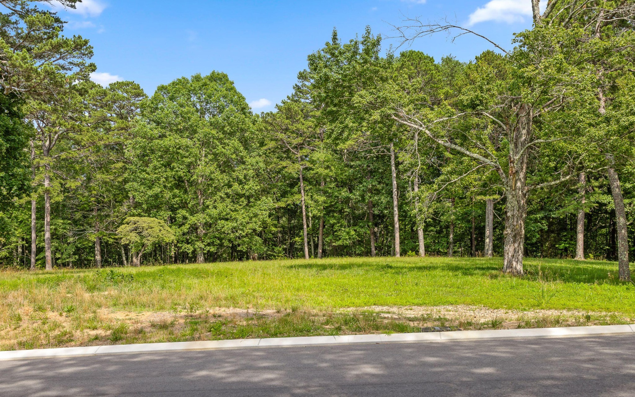 1820 Sawyer Farms Lane Property Photo 9