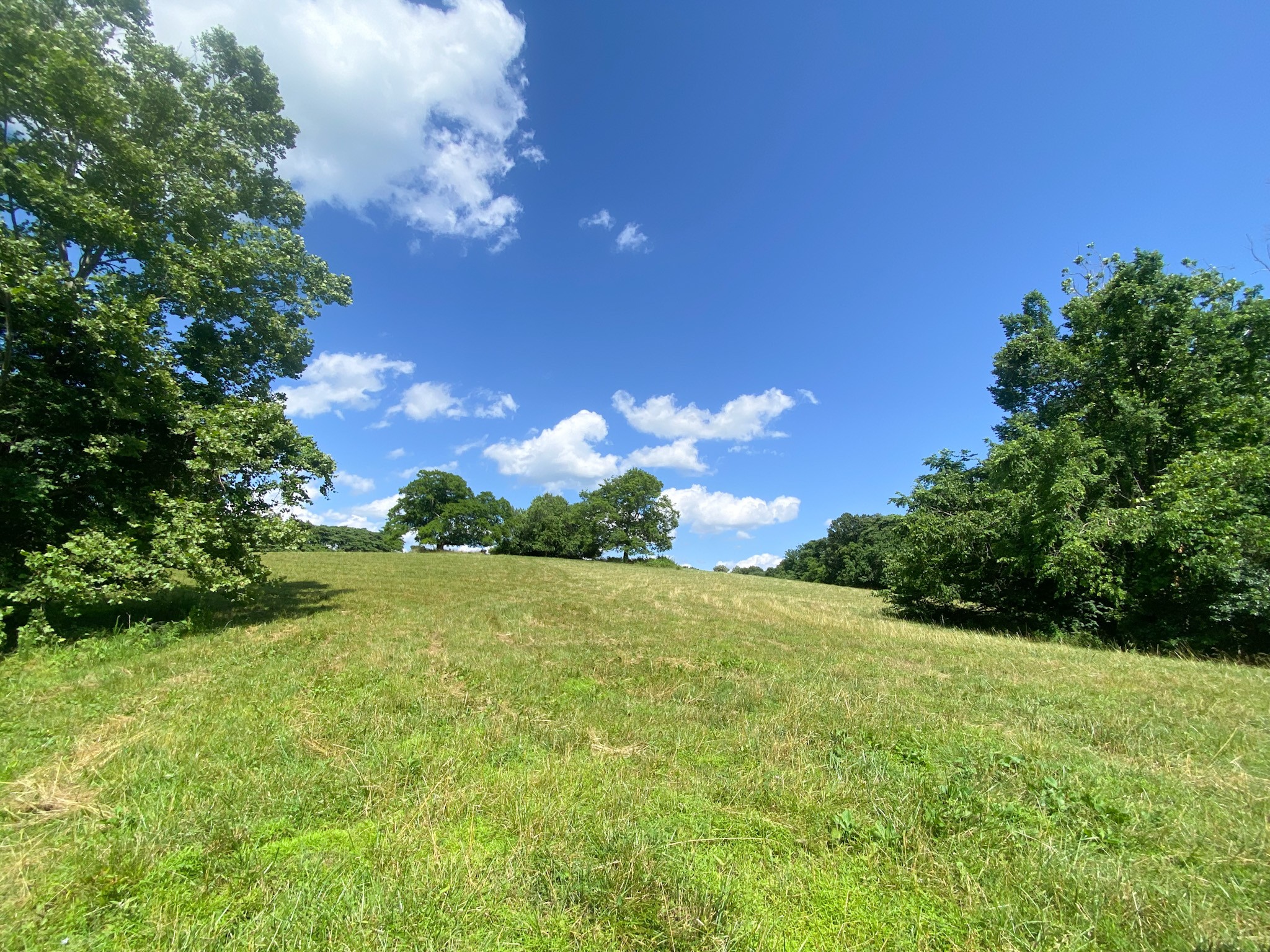 2077 Lynnville Hwy Property Photo 1