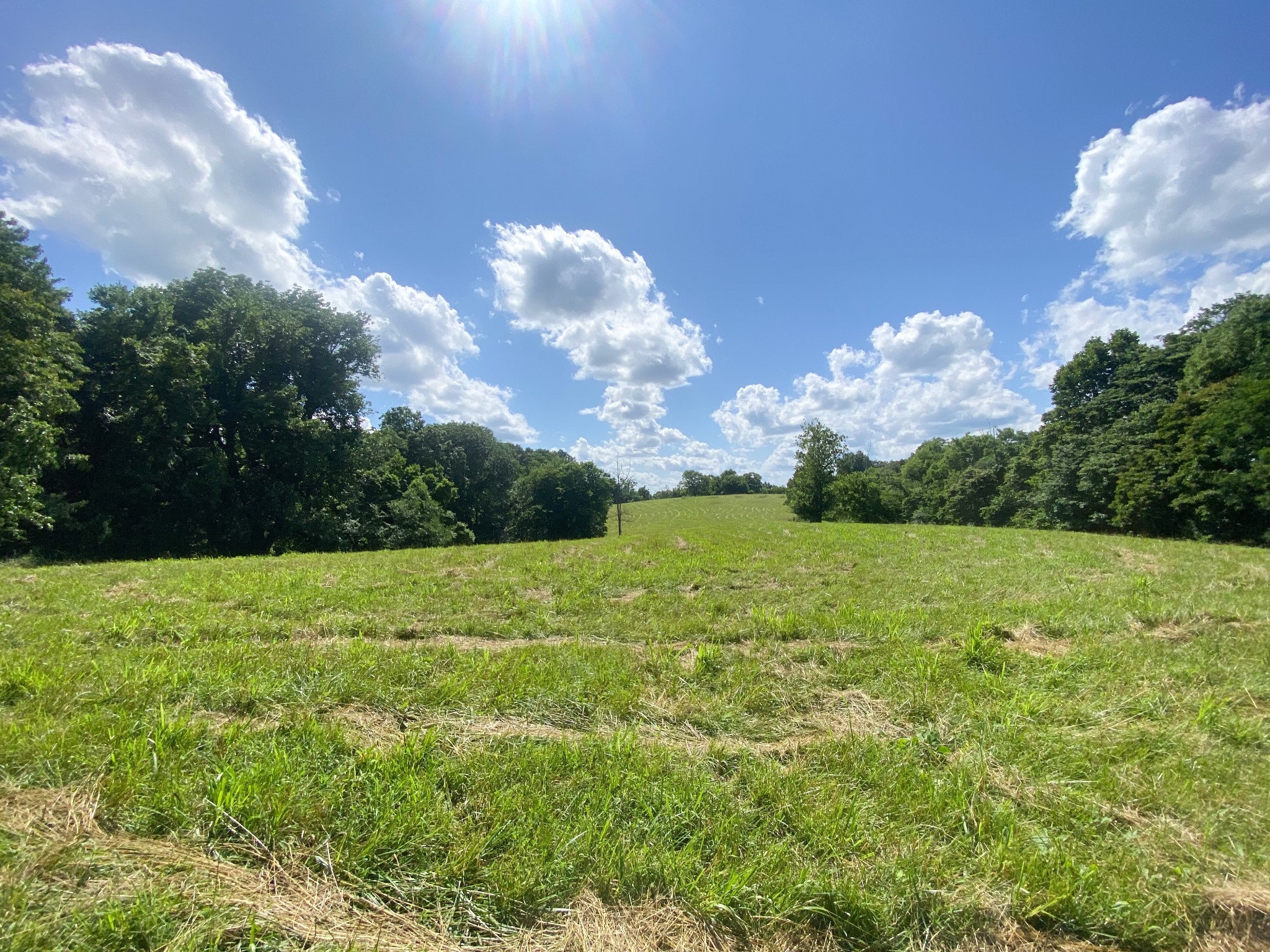 2077 Lynnville Hwy Property Photo 2