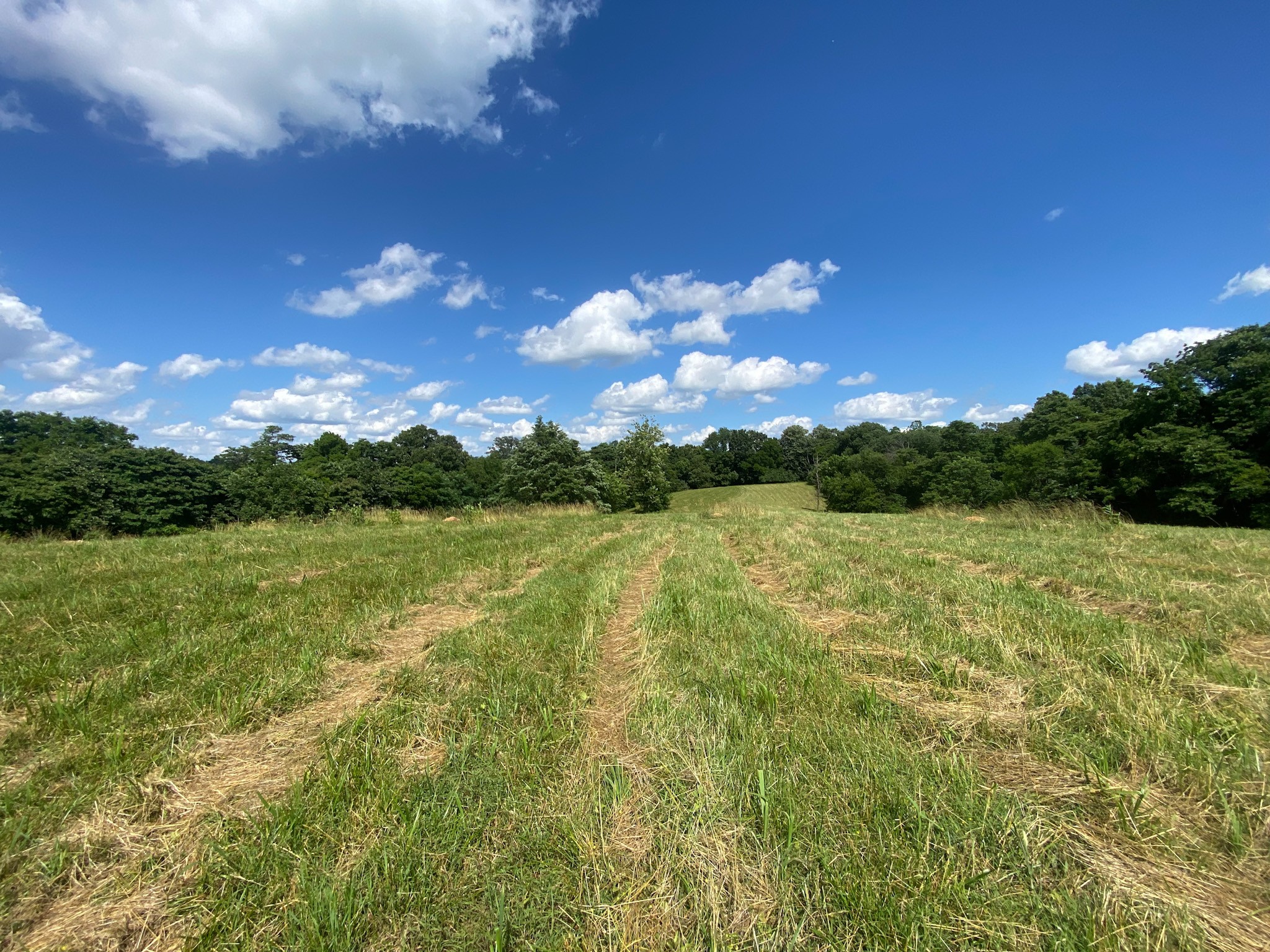 2077 Lynnville Hwy Property Photo 3