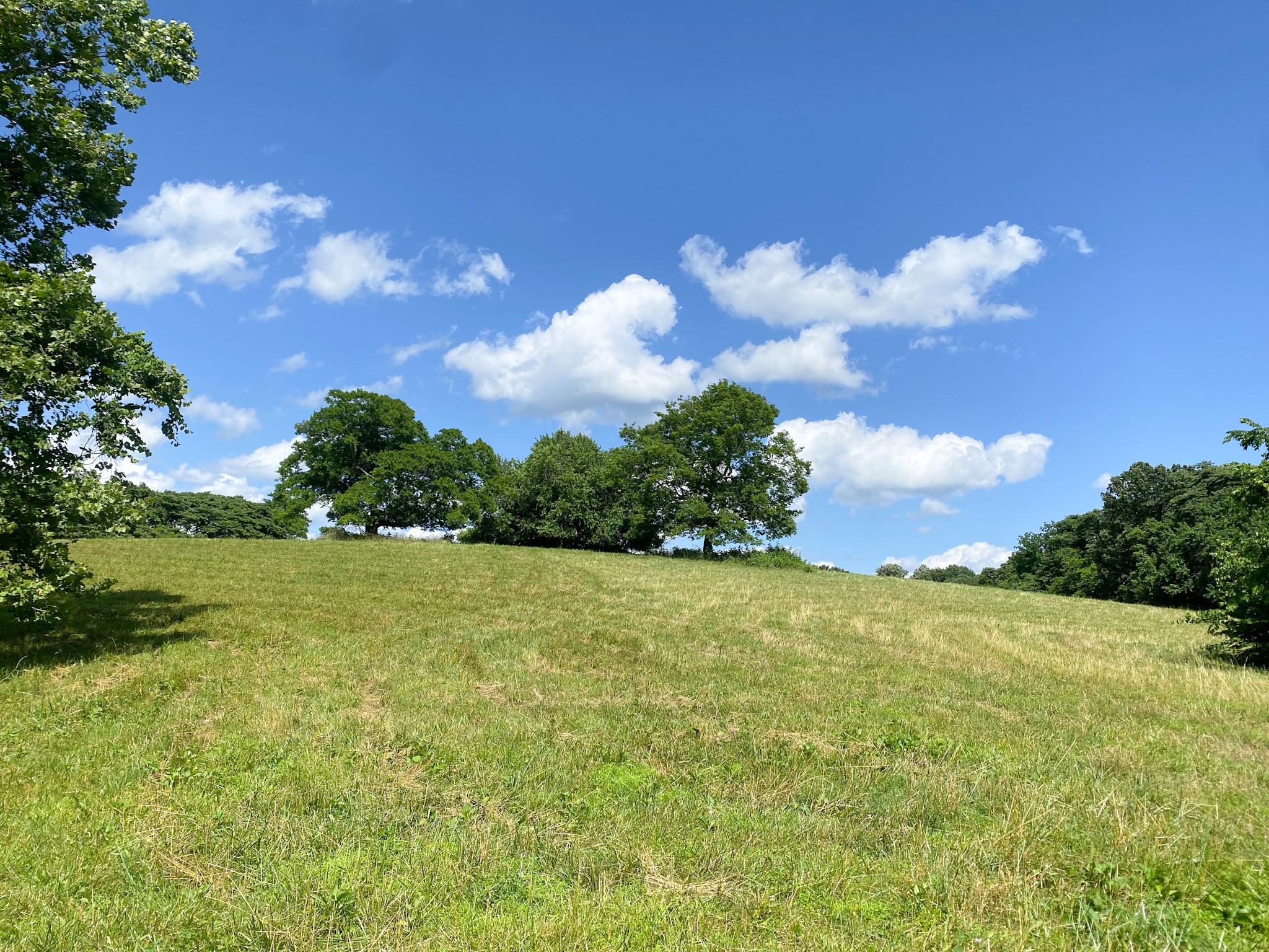 2077 Lynnville Hwy Property Photo 4
