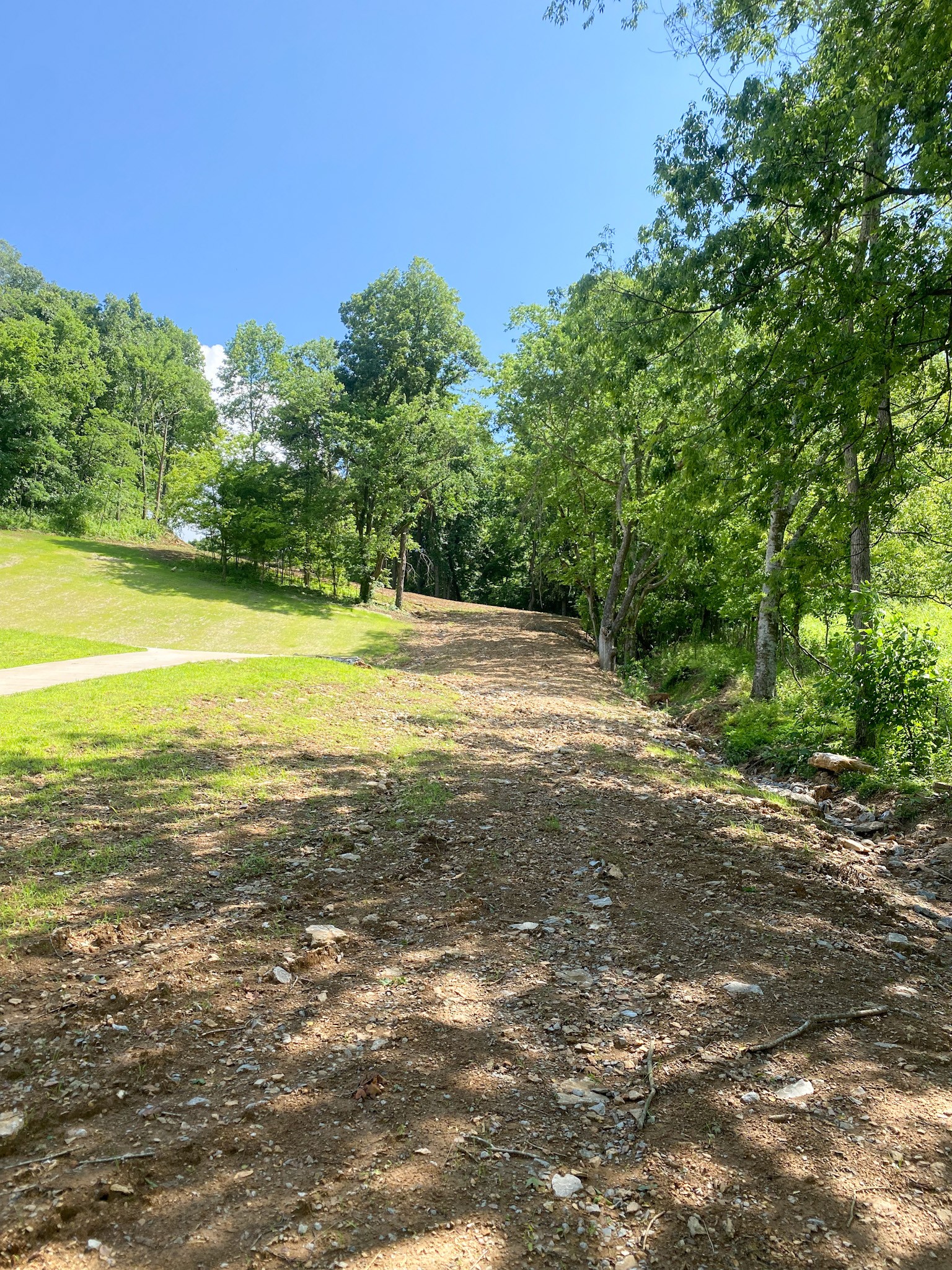 2077 Lynnville Hwy Property Photo 6