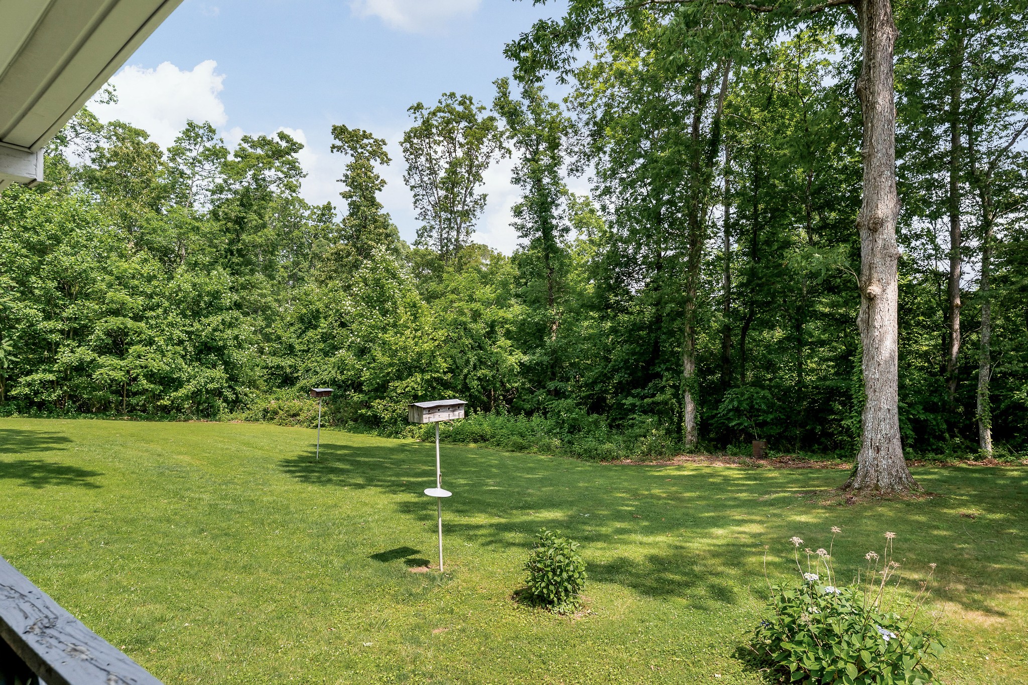89 Elm Ln Property Photo 50