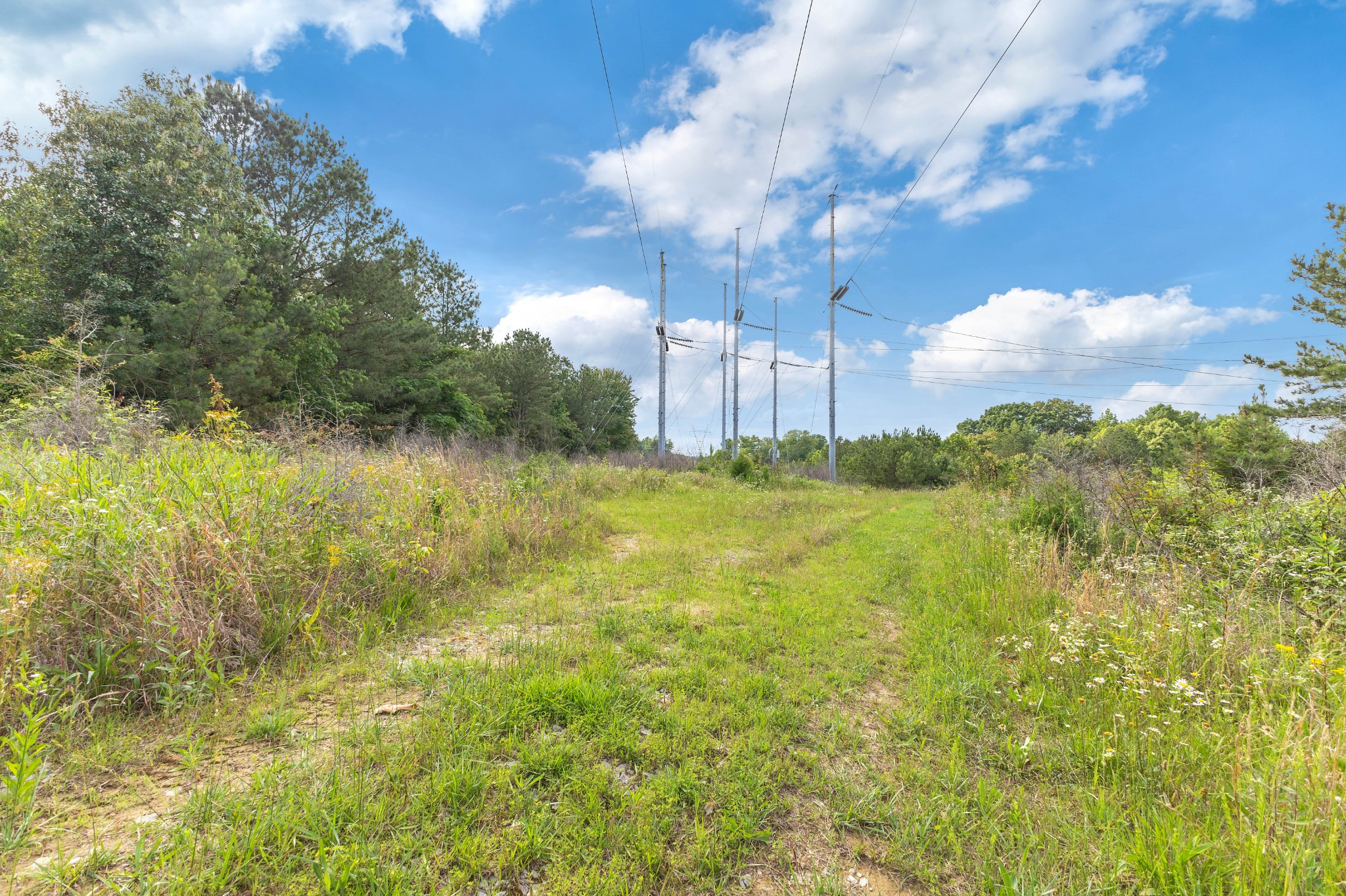 0 Raybon Binkley Property Photo 13