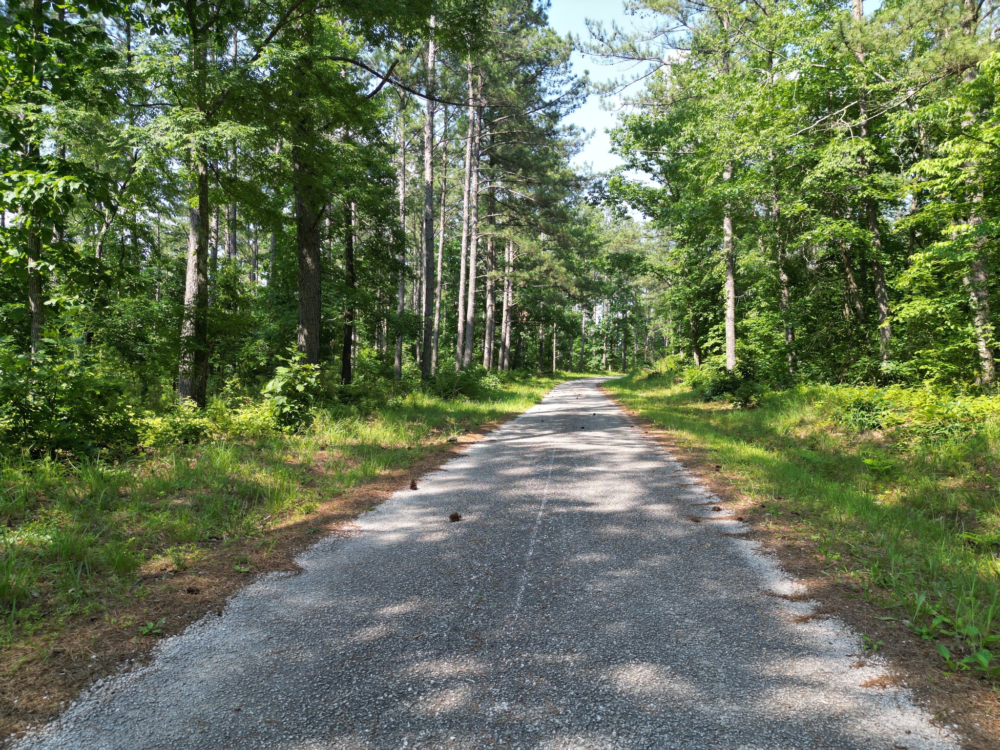 0 Sassafras Ridge Property Photo 1