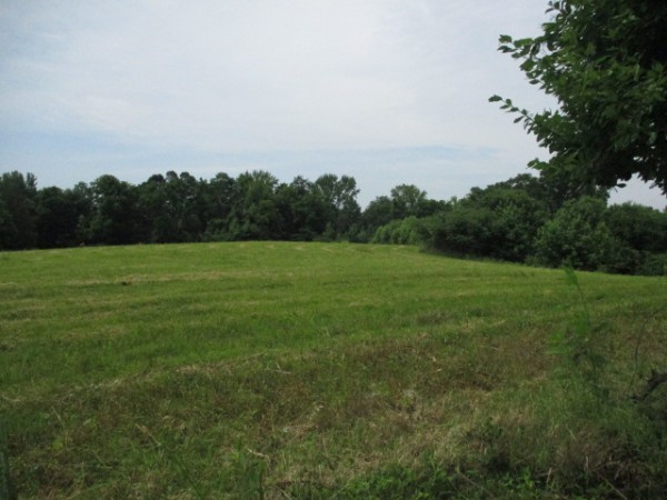 386 Belotes Bend Road Property Photo 2