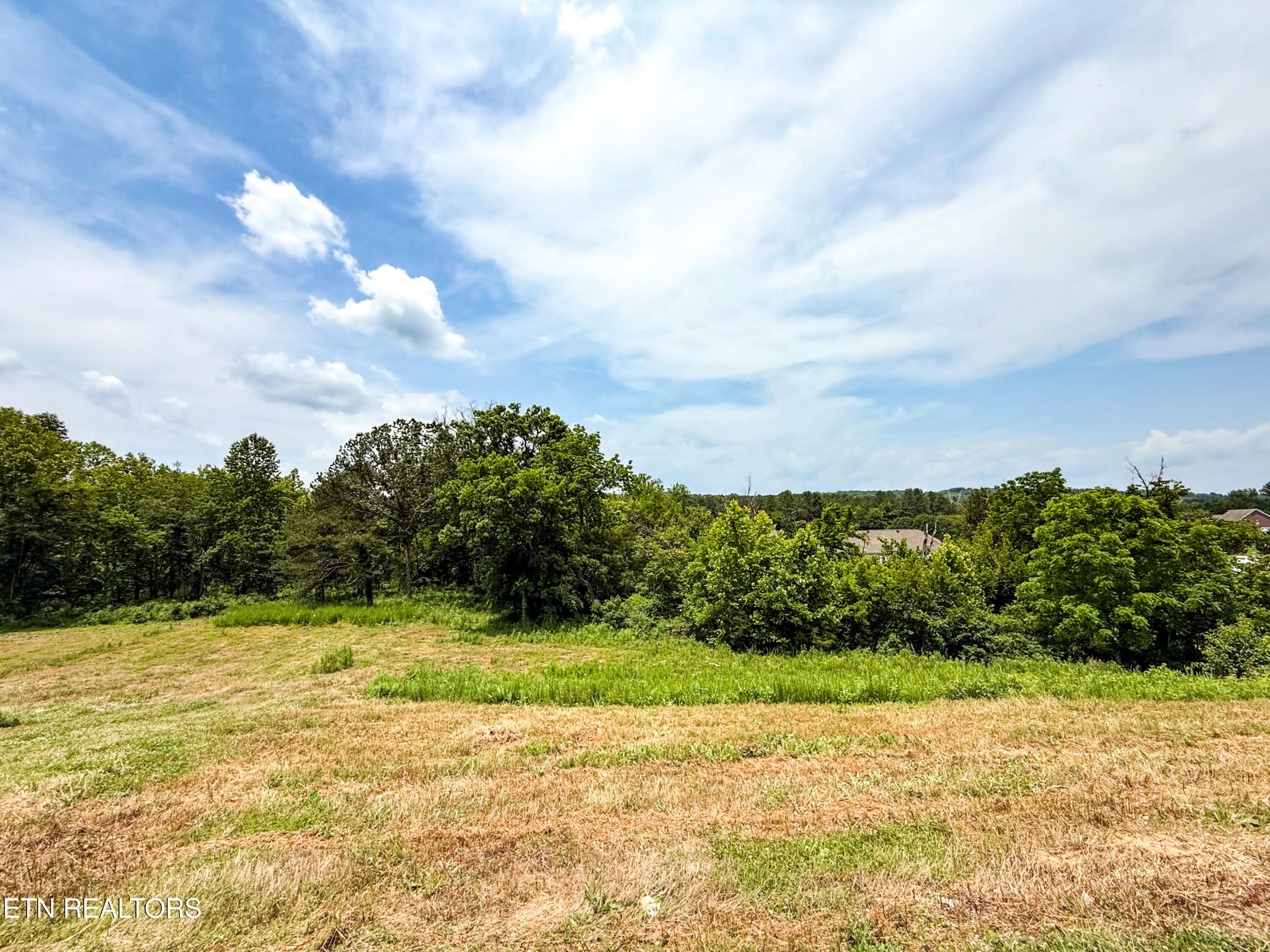 0 Lot 16 Forest Creek Pkwy Property Photo 1