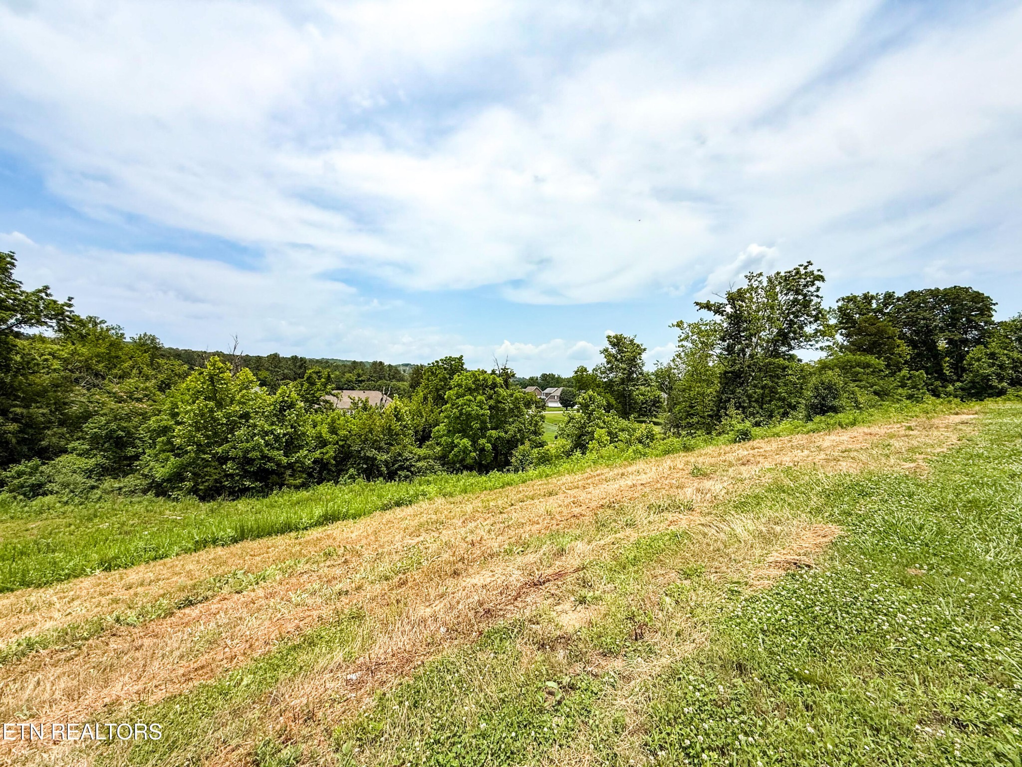 0 Lot 16 Forest Creek Pkwy Property Photo 3