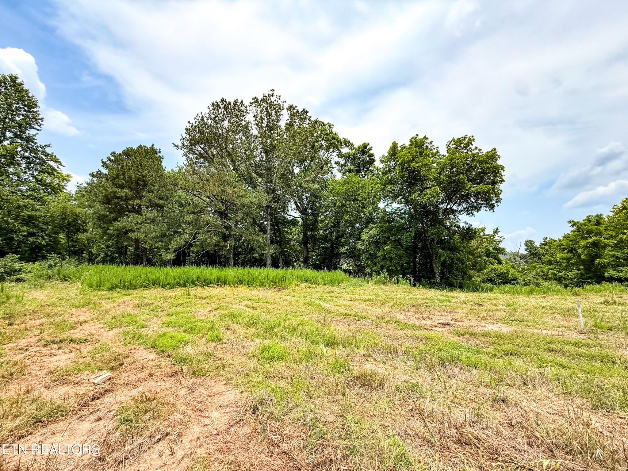 0 Lot 16 Forest Creek Pkwy Property Photo 4