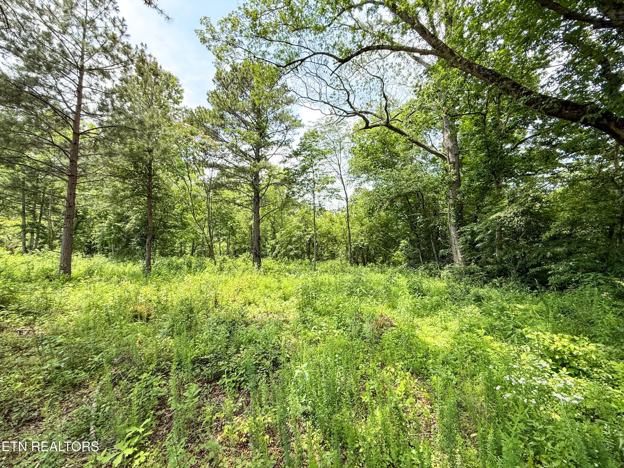 0 Lot 16 Forest Creek Pkwy Property Photo 6