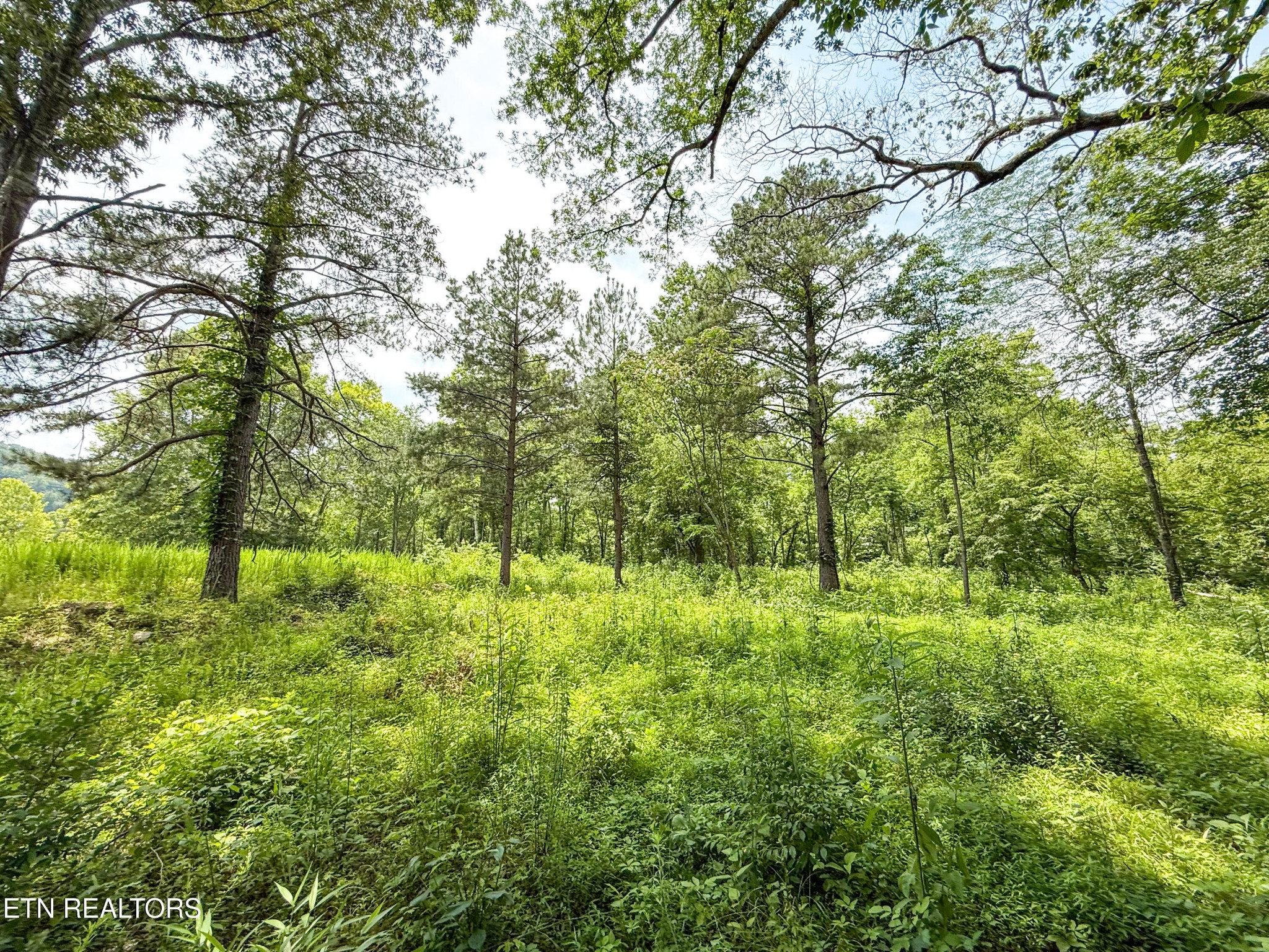 0 Lot 16 Forest Creek Pkwy Property Photo 8