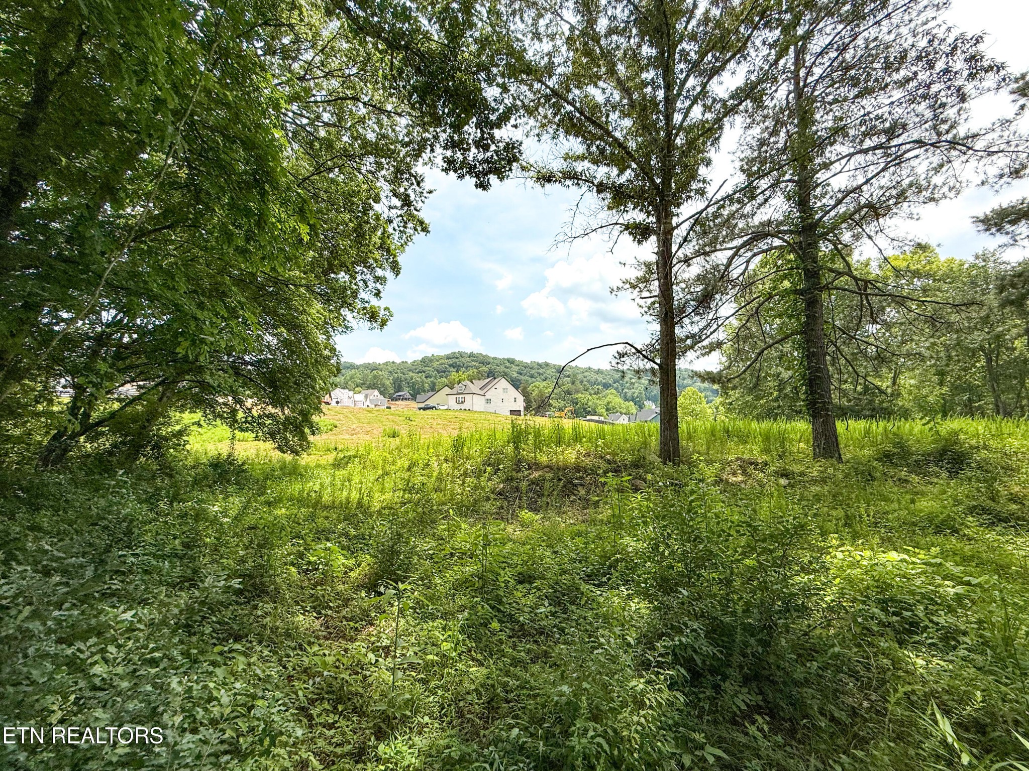 0 Lot 16 Forest Creek Pkwy Property Photo 9