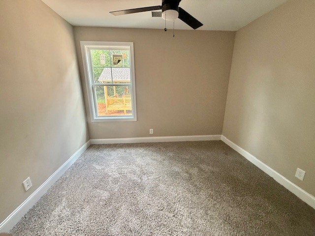 415 Stein St Property Photo 10