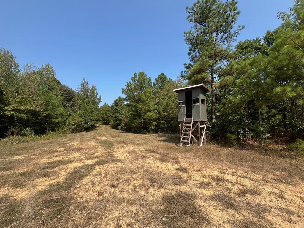 211 Little House Road Property Photo 1