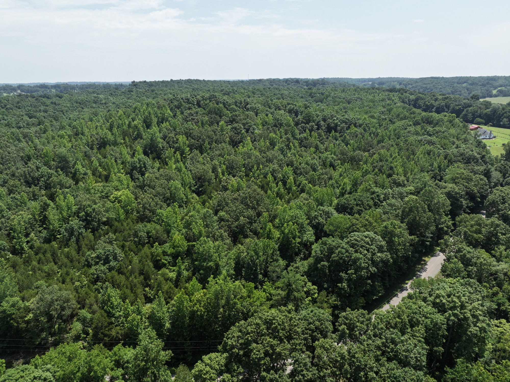 0 Batson Road Property Photo 2