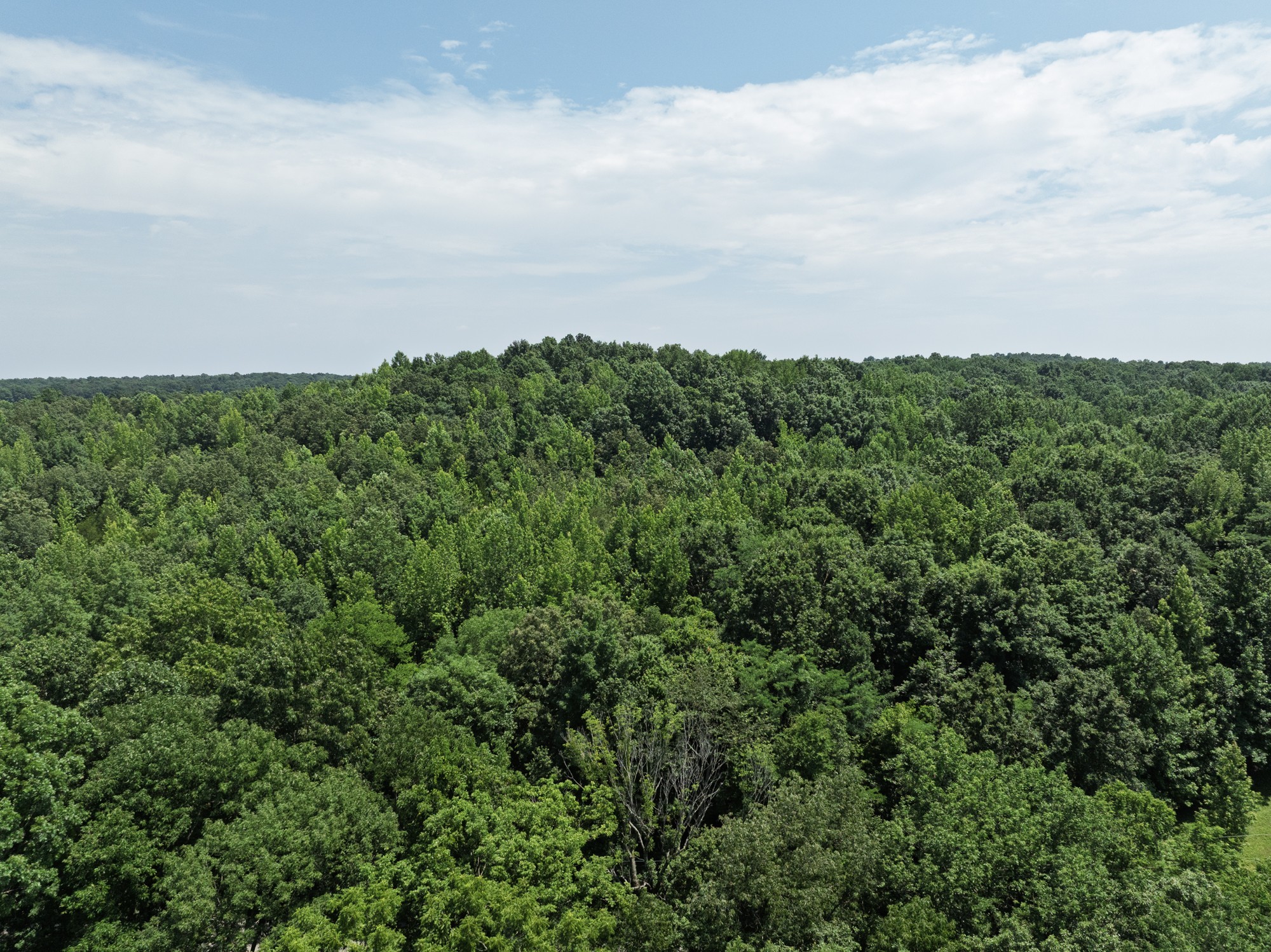 0 Batson Road Property Photo 3