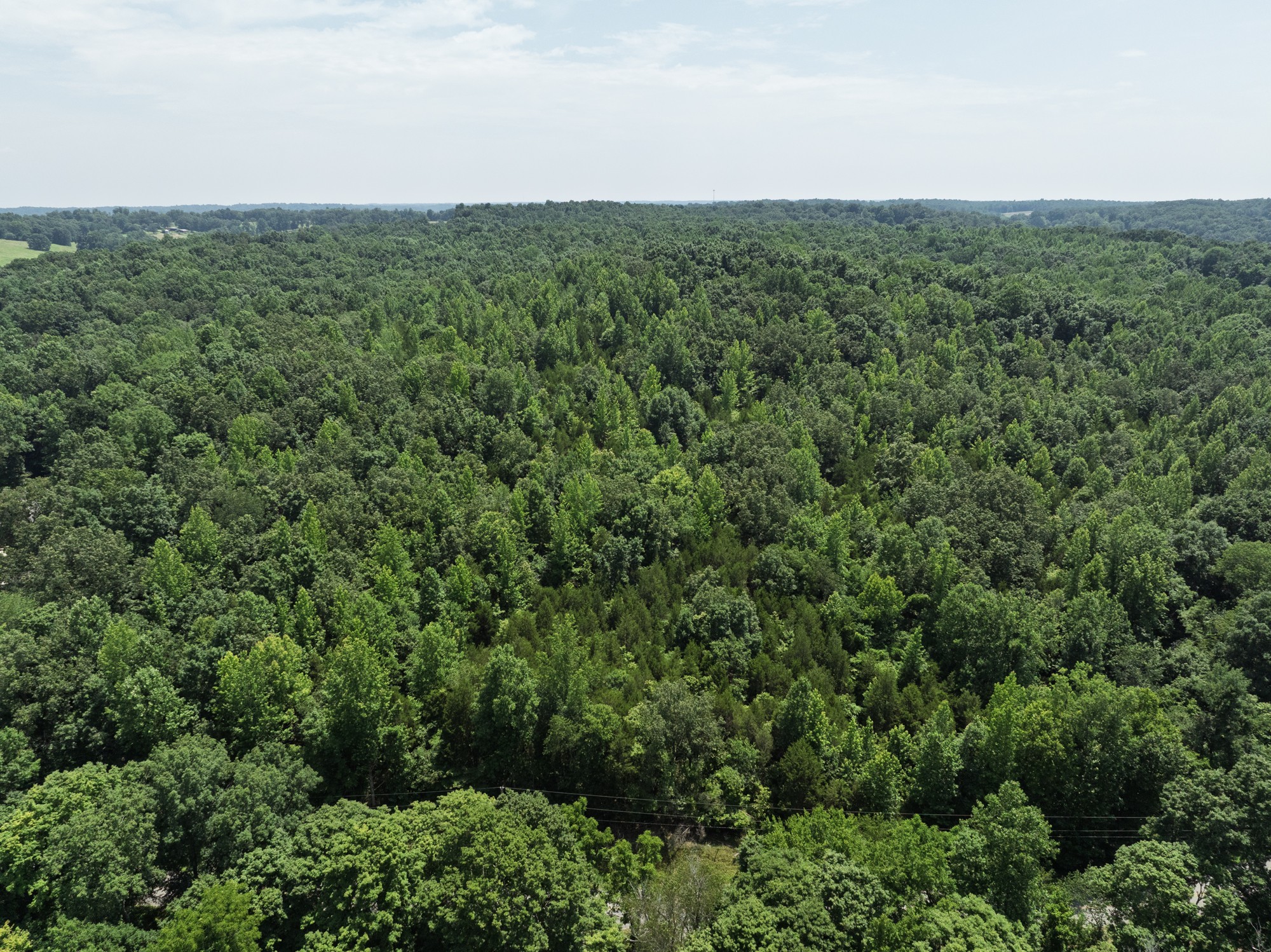 0 Batson Road Property Photo 4