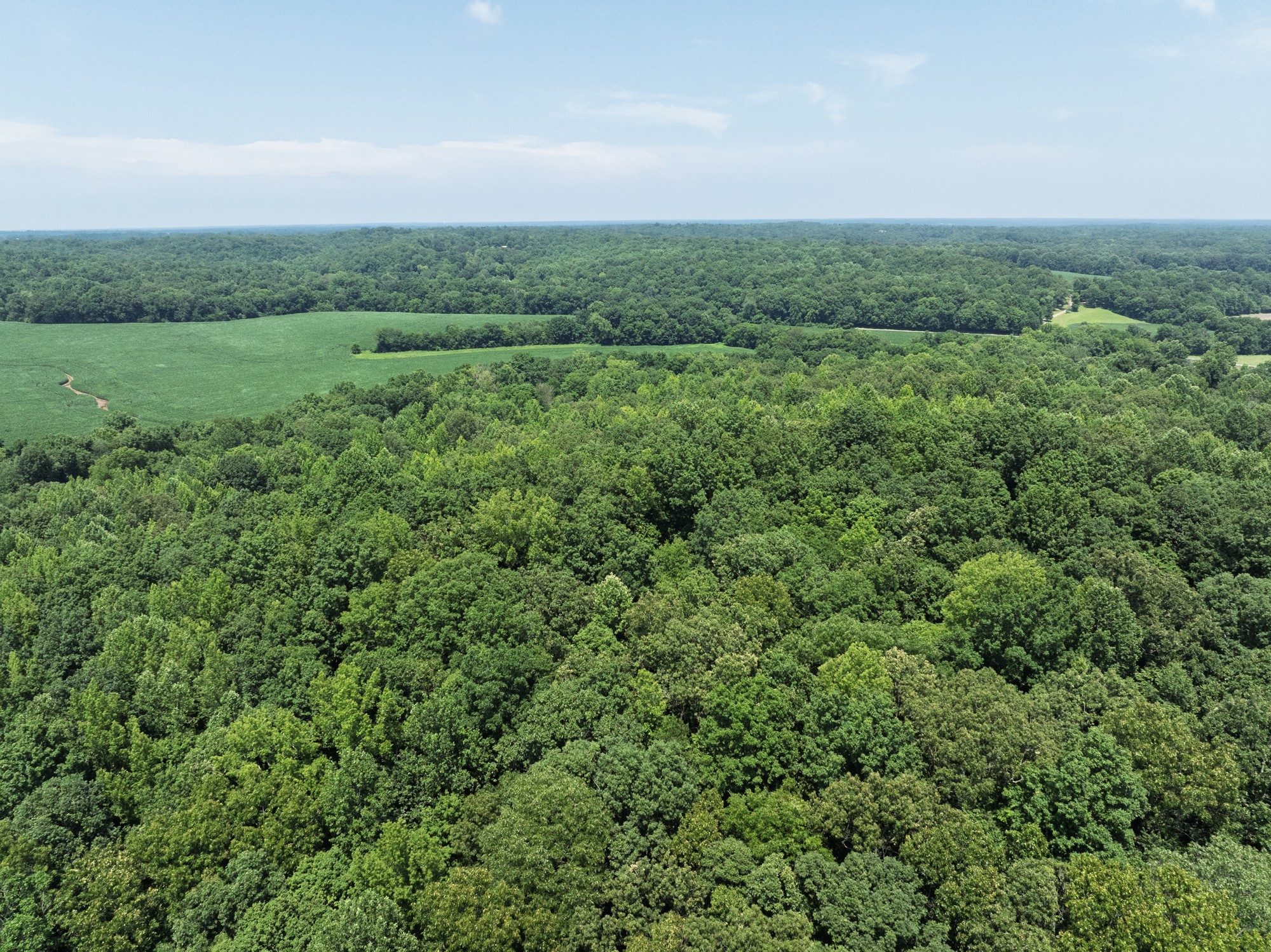 0 Batson Road Property Photo 6