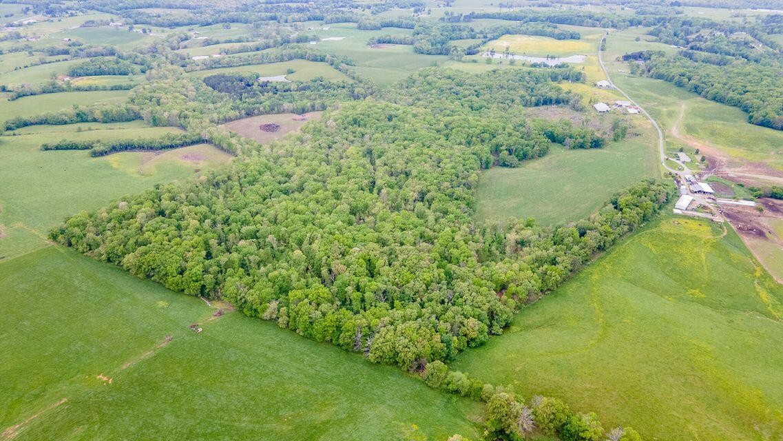 1711 Bradley Wyatt Road Property Photo 7