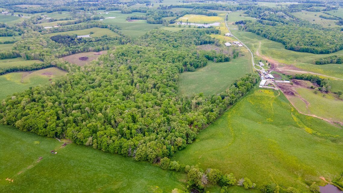 1711 Bradley Wyatt Road Property Photo 8