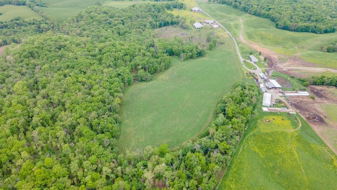 1711 Bradley Wyatt Road Property Photo 9
