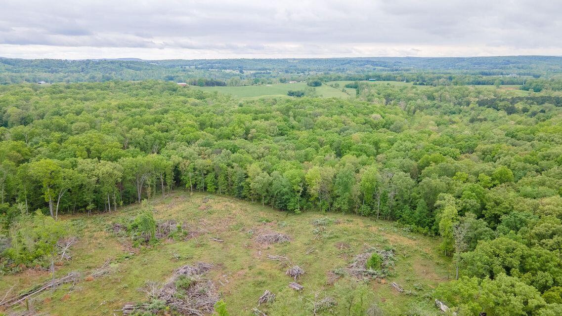 1711 Bradley Wyatt Road Property Photo 12