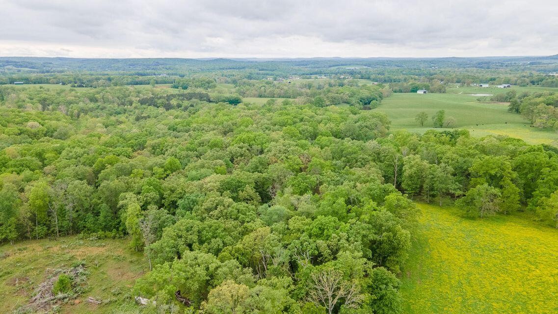 1711 Bradley Wyatt Road Property Photo 13