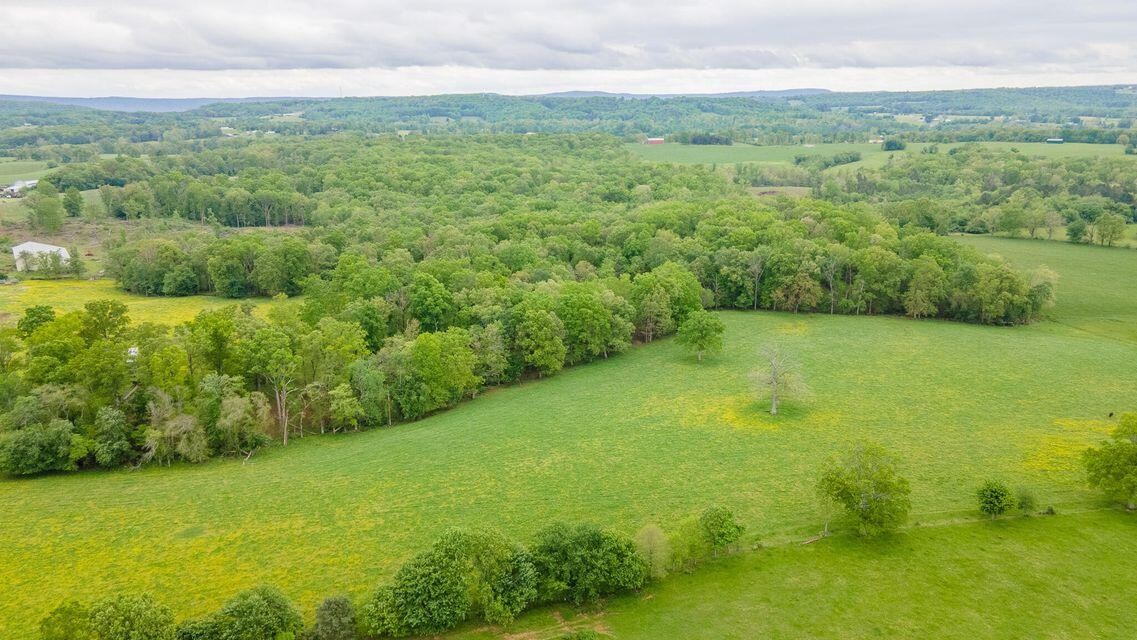 1711 Bradley Wyatt Road Property Photo 18