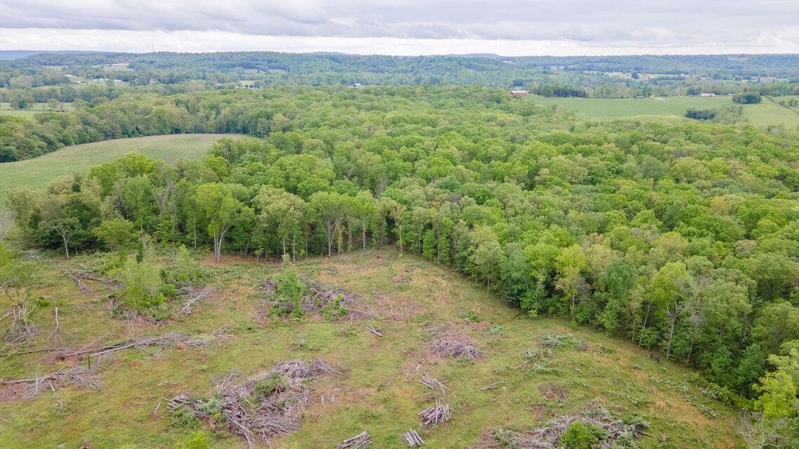 1711 Bradley Wyatt Road Property Photo 21
