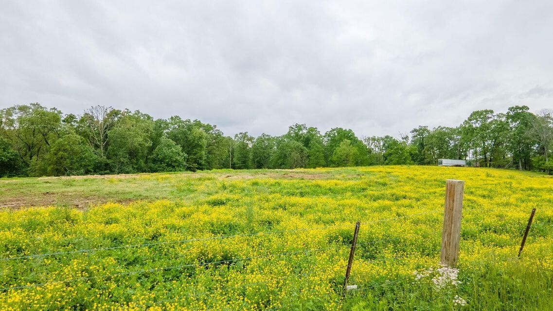 1711 Bradley Wyatt Road Property Photo 22