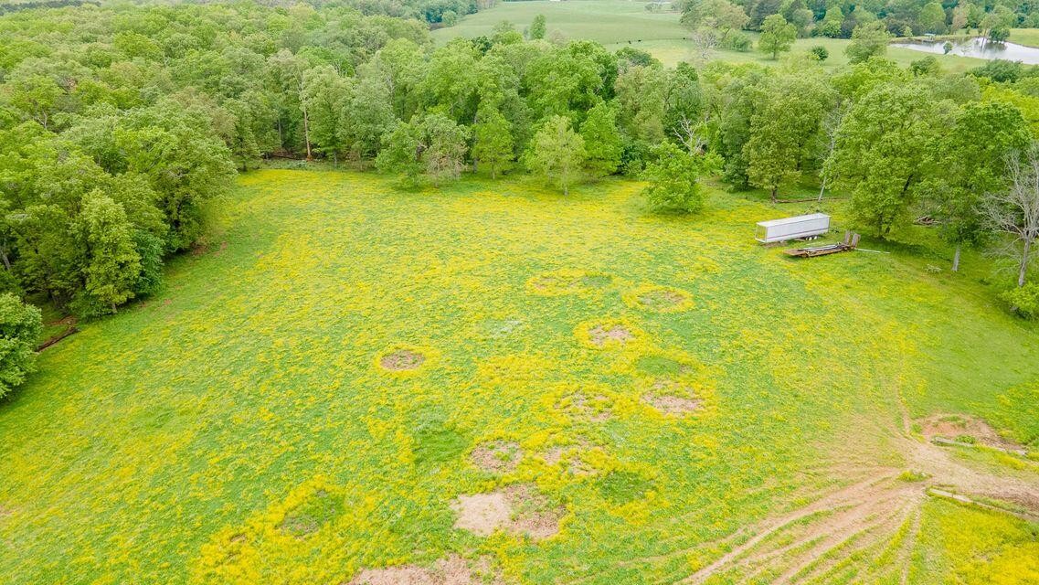 1711 Bradley Wyatt Road Property Photo 32