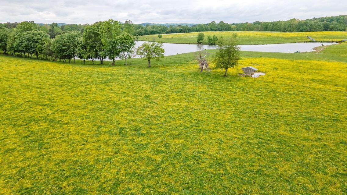 1711 Bradley Wyatt Road Property Photo 33