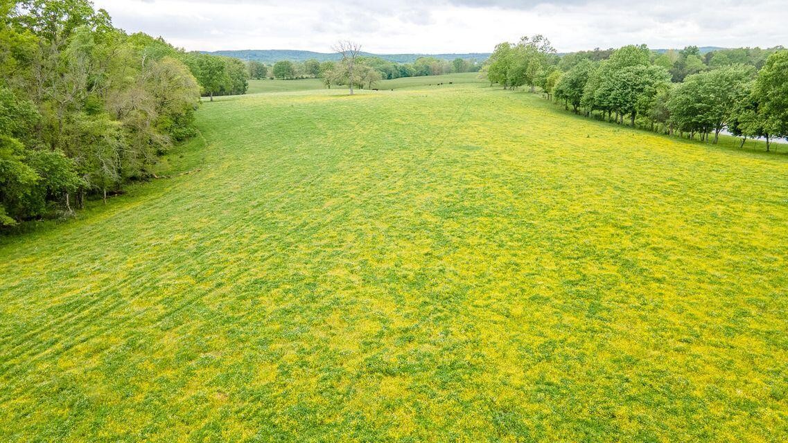 1711 Bradley Wyatt Road Property Photo 34