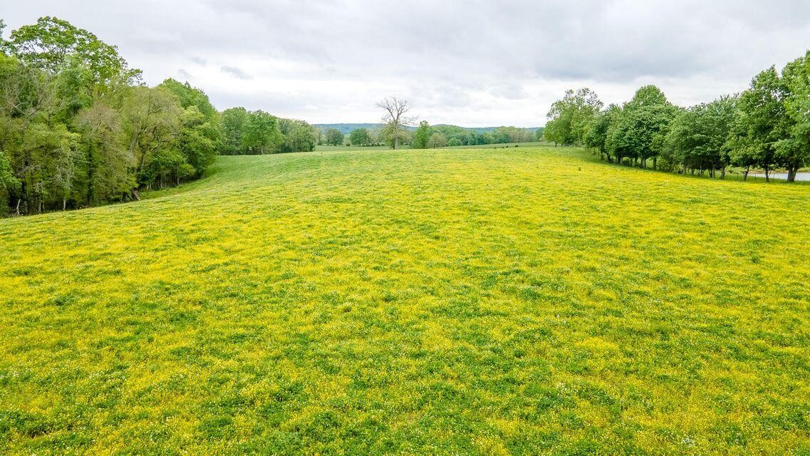 1711 Bradley Wyatt Road Property Photo 35