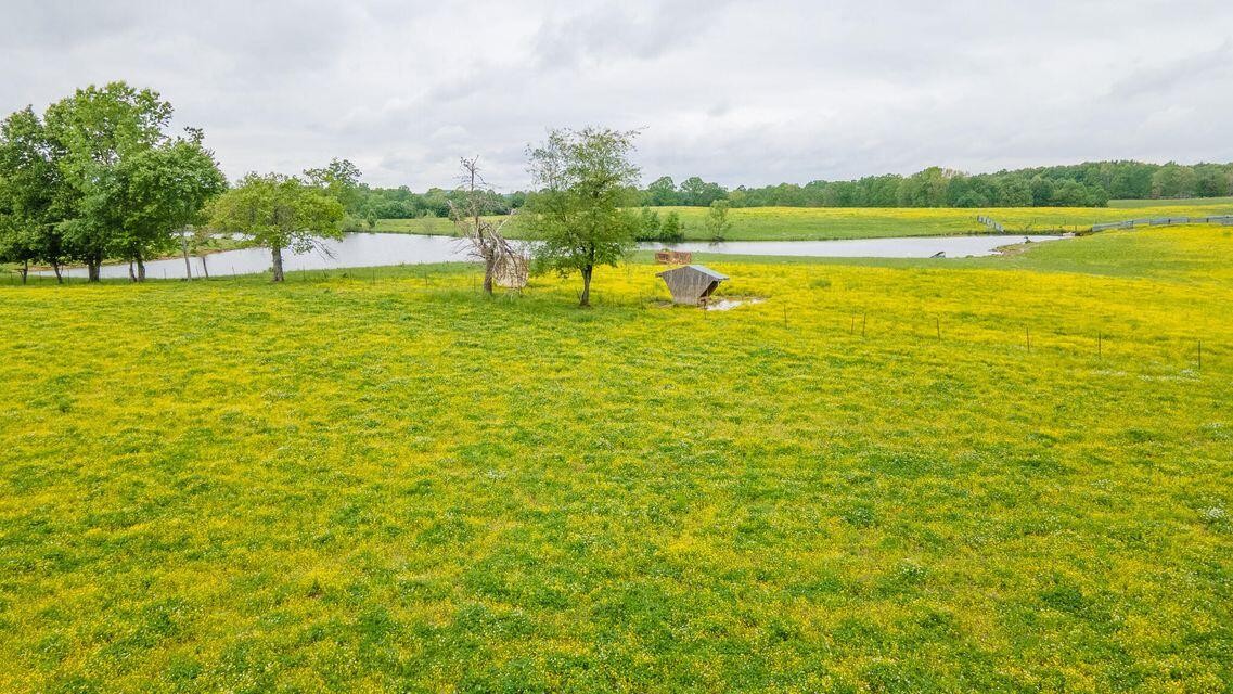 1711 Bradley Wyatt Road Property Photo 36