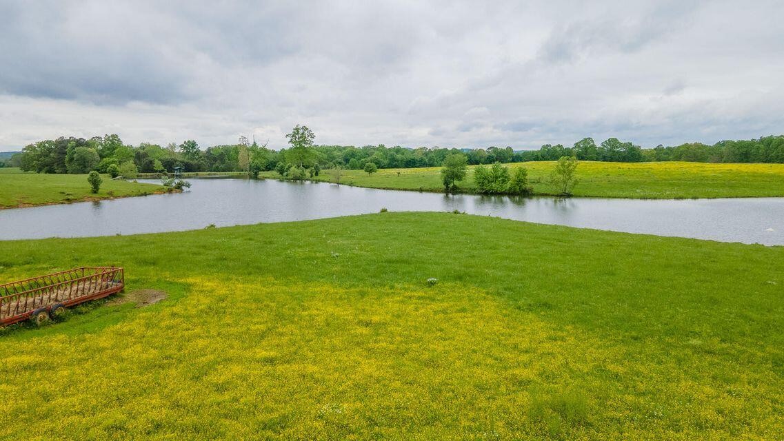 1711 Bradley Wyatt Road Property Photo 38