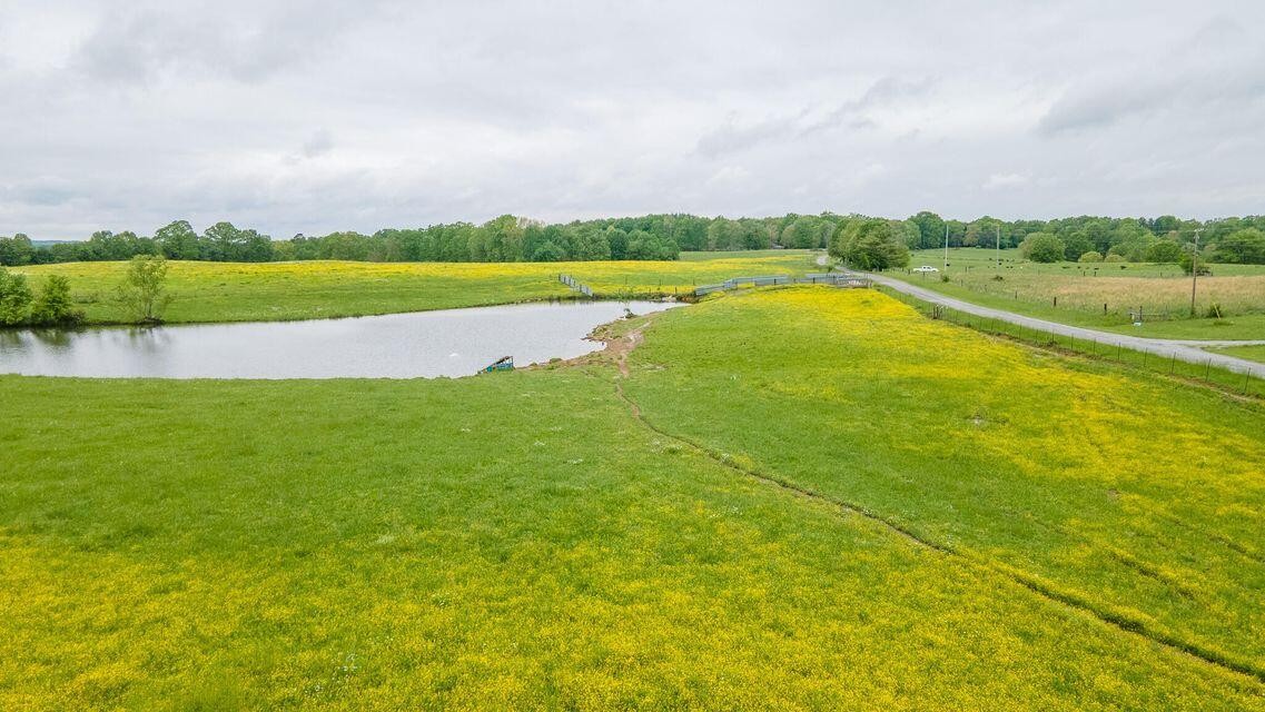 1711 Bradley Wyatt Road Property Photo 40