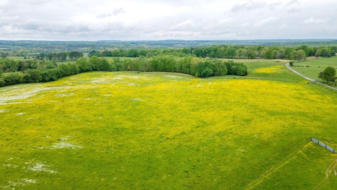 1711 Bradley Wyatt Road Property Photo 45