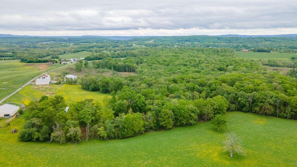 1711 Bradley Wyatt Road Property Photo 46