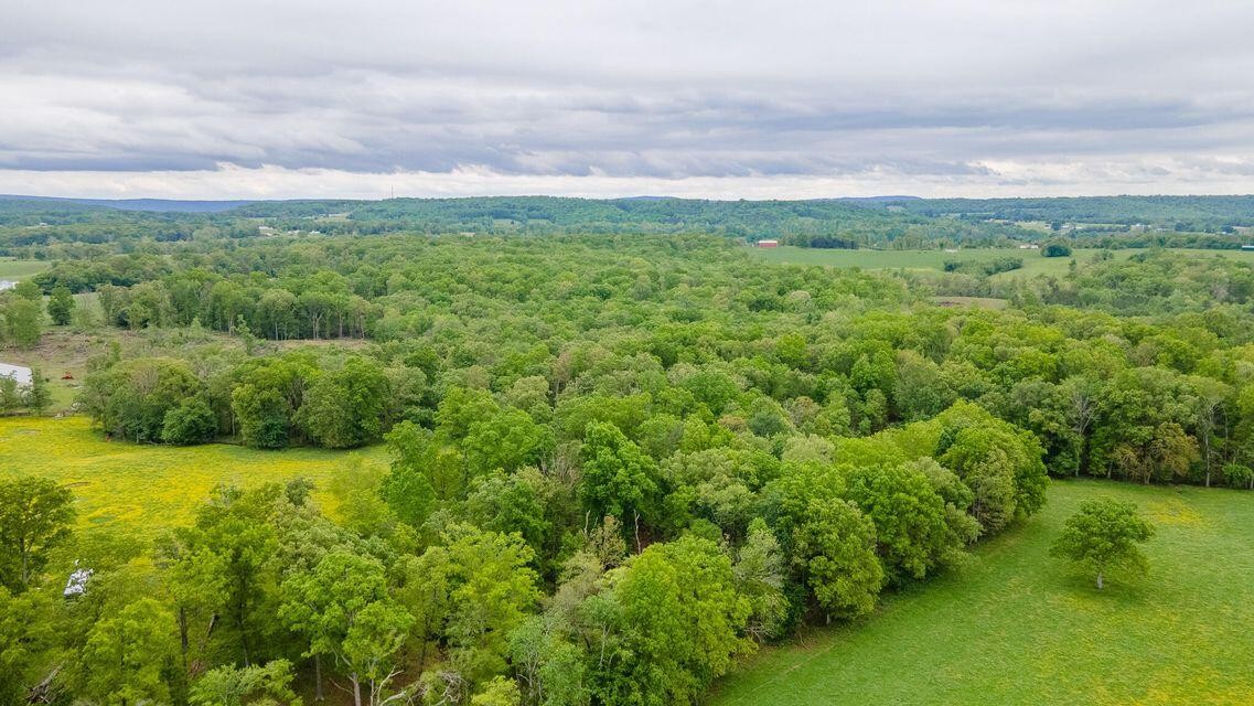 1711 Bradley Wyatt Road Property Photo 49