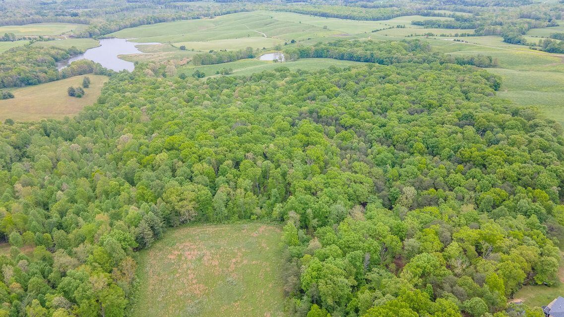 1711 Bradley Wyatt Road Property Photo 65