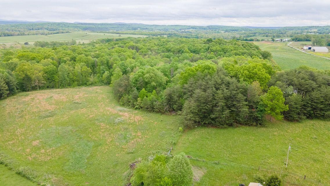 1711 Bradley Wyatt Road Property Photo 69