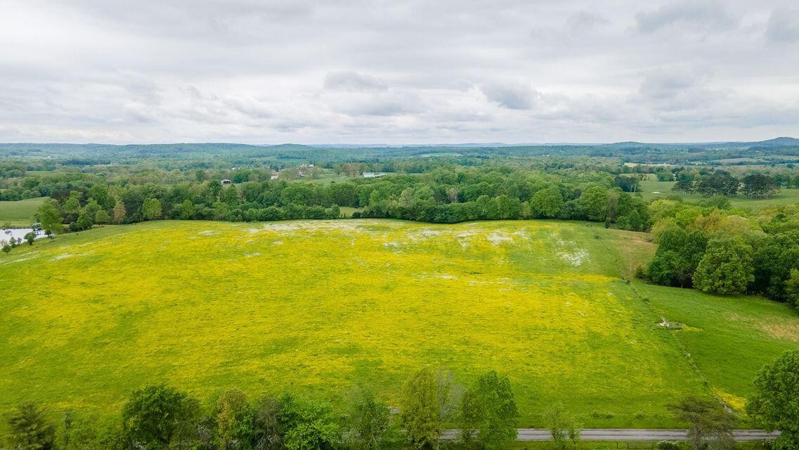 1711 Bradley Wyatt Road Property Photo 70