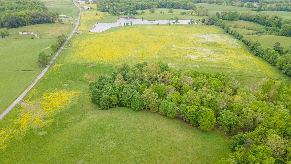 1711 Bradley Wyatt Road Property Photo 75