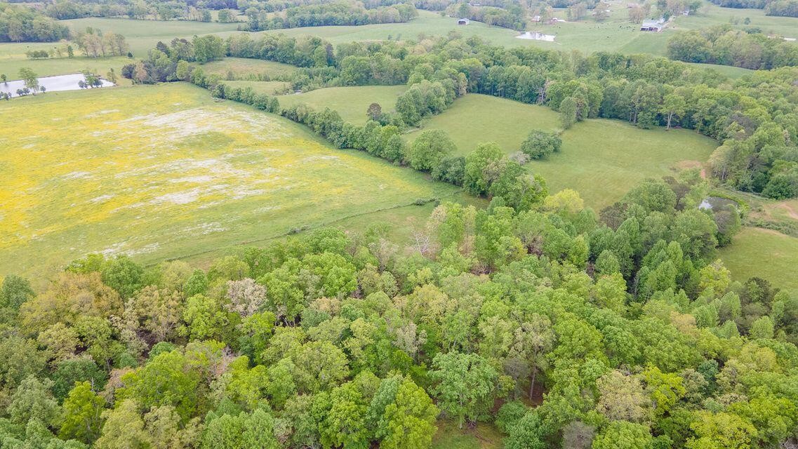 1711 Bradley Wyatt Road Property Photo 76