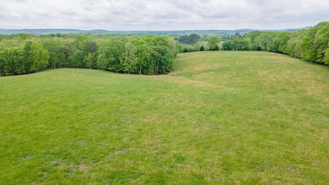 1711 Bradley Wyatt Road Property Photo 77