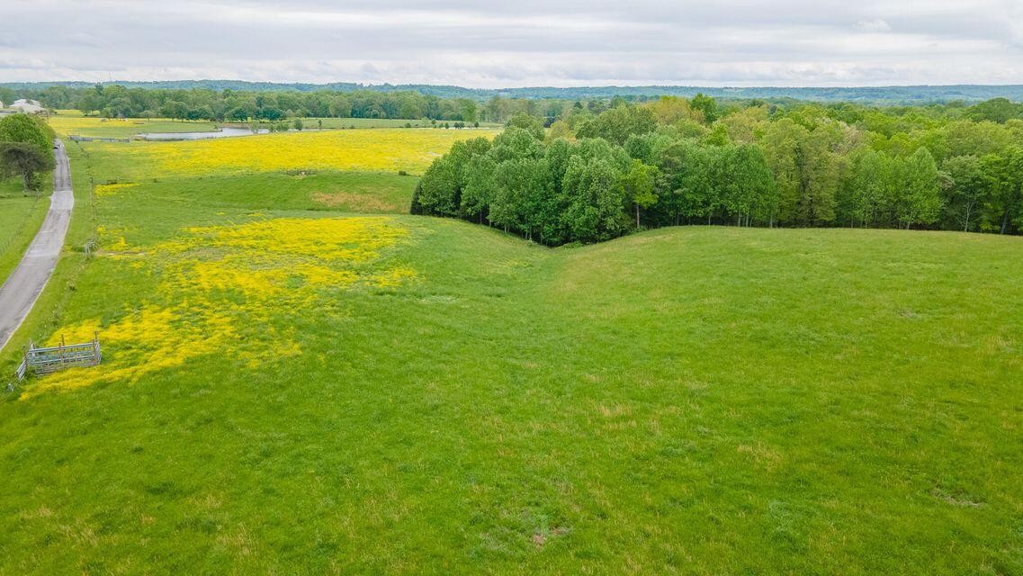 1711 Bradley Wyatt Road Property Photo 78